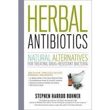Herbal Antibiotics Natural Alternatives